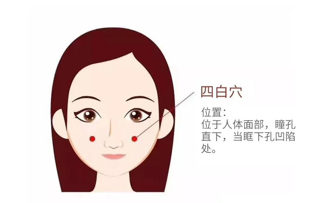 四白穴示意图
