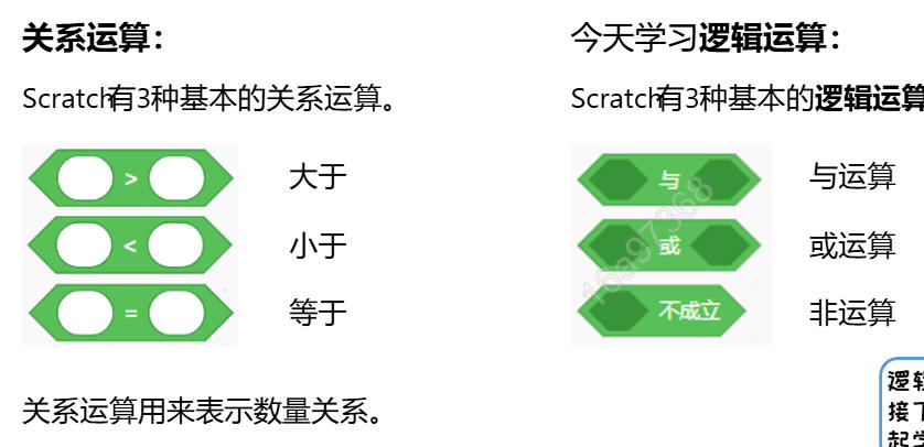 锅说少儿编程